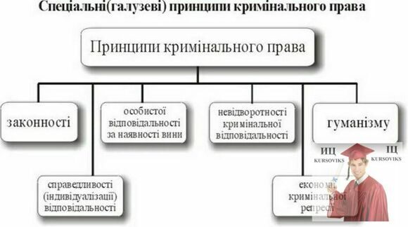 Актуальные-проблемы-уголовного-права-принципи