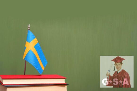 особенности образования в Швеции