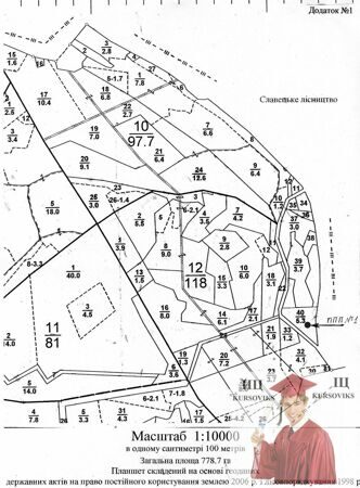 Б3176, Рис. 2.18 – Славецьке лісництво