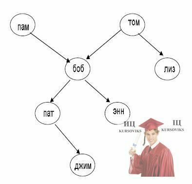 Б1114, Рис. 1 - Генеалогічне дерево родини