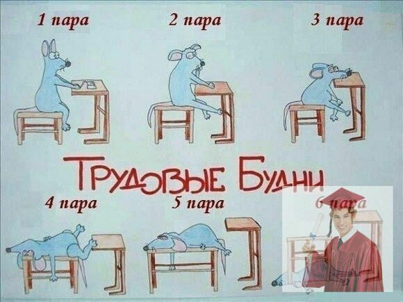 басни из жизни студентов