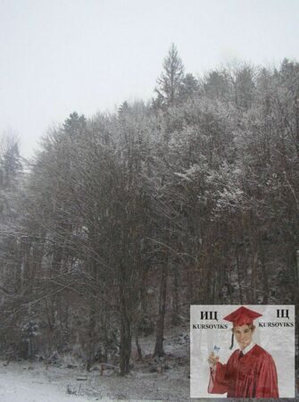Б3176, Рис. 2.60 - Точка №4 по центру ялина 05.12.2012 р.