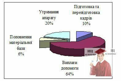 Б3820, Діаграма 1 - Структура витрат фонду зайнятості