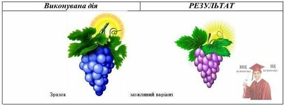 Б793, 1 - Малювання-грони-винограду-в-Corel-Draw